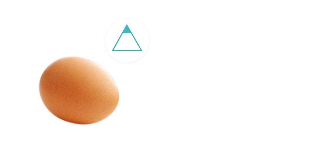 proteinindhold i æg proteinindhold i æg