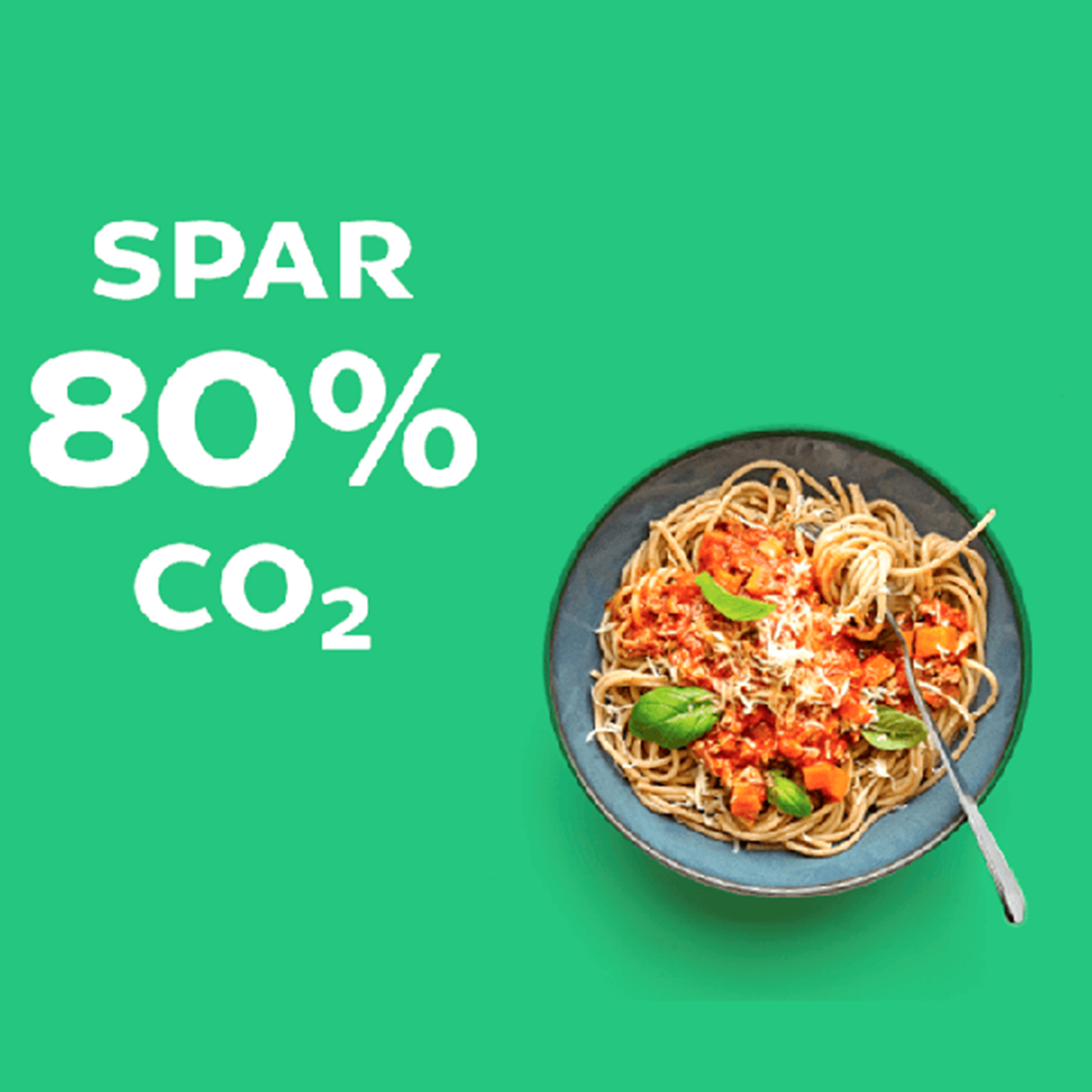 Spar80_CO2_1.png